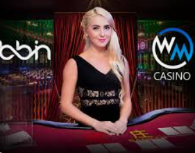 bwin必赢登录入口app官网2024最新版