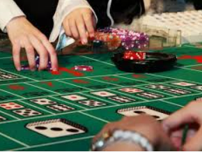 bwin必赢登录入口app官网最新版